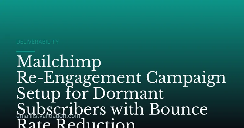 Mailchimp Re-Engagement Campaign Setup for Dormant Subscribers with Bounce Rate Reduction