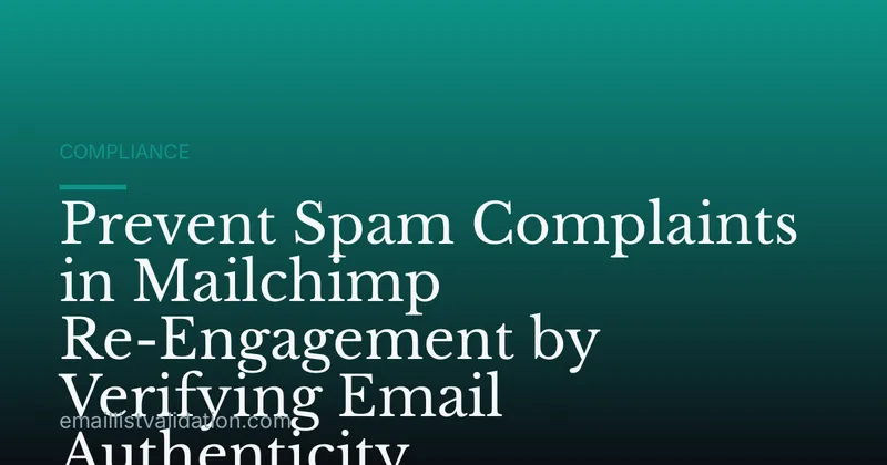 Prevent Spam Complaints in Mailchimp Re-Engagement by Verifying Email Authenticity