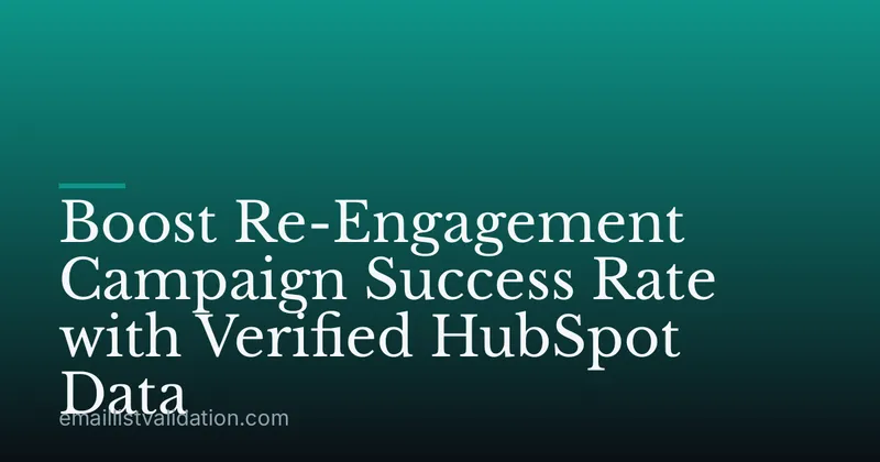 Boost Re-Engagement Campaign Success Rate with Verified HubSpot Data