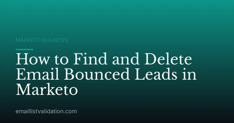 How to Find and Delete Email Bounced Leads in Marketo