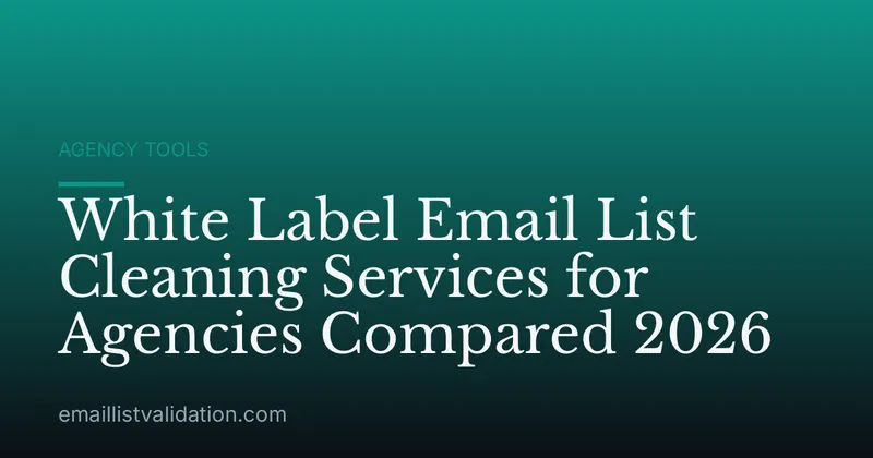 White Label Email List Cleaning Services for Agencies Compared 2026