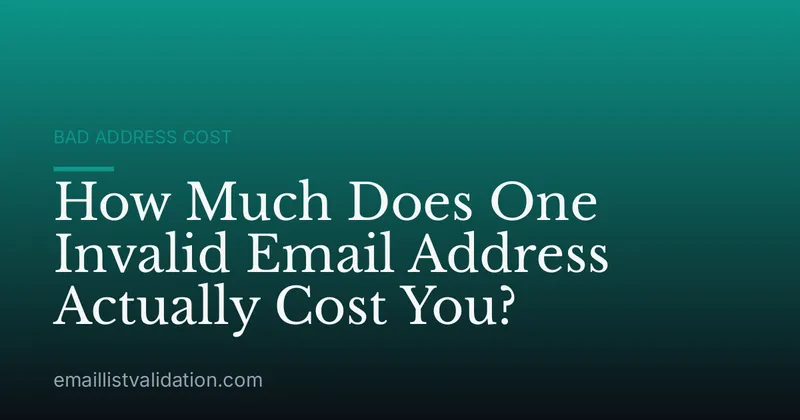 How Much Does One Invalid Email Address Actually Cost You?