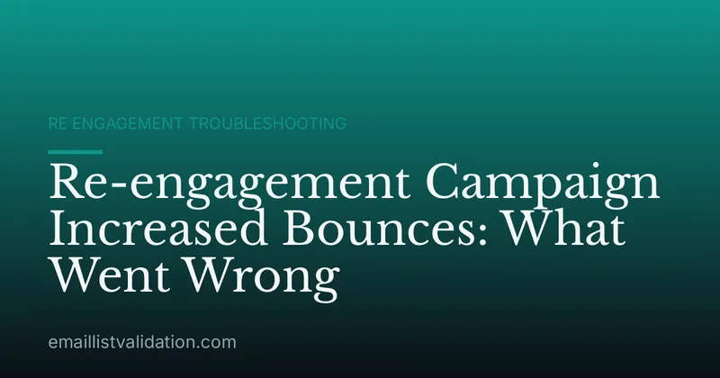 Re-engagement Campaign Increased Bounces: What Went Wrong