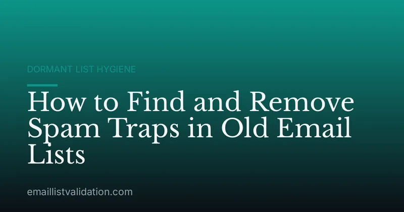 How to Find and Remove Spam Traps in Old Email Lists