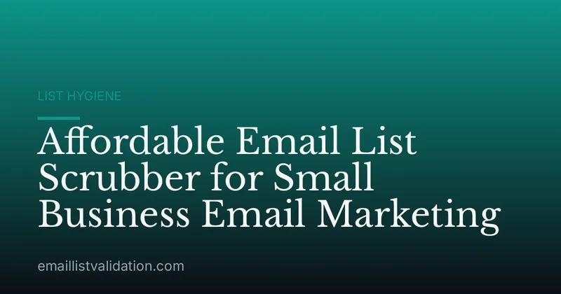 Affordable Email List Scrubber for Small Business Email Marketing