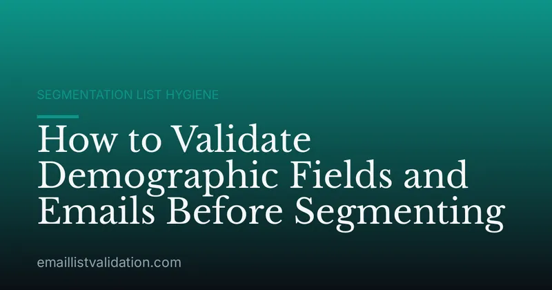How to Validate Demographic Fields and Emails Before Segmenting