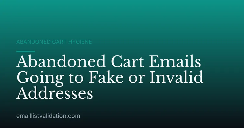 Abandoned Cart Emails Going to Fake or Invalid Addresses