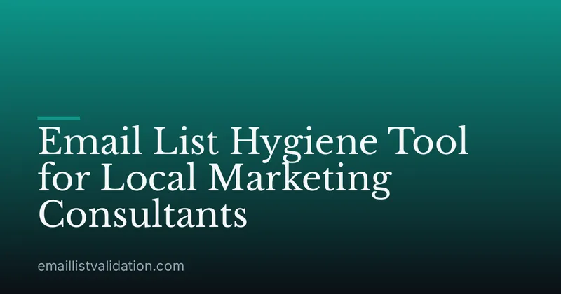 Email List Hygiene Tool for Local Marketing Consultants