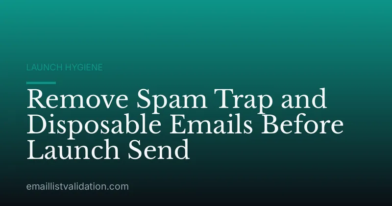 Remove Spam Trap and Disposable Emails Before Launch Send