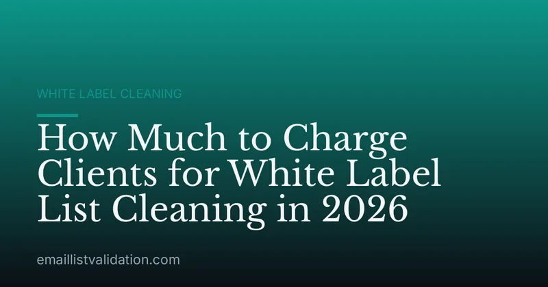 How Much to Charge Clients for White Label List Cleaning in 2026