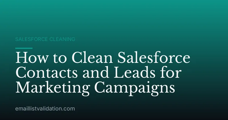How to Clean Salesforce Contacts and Leads for Marketing Campaigns