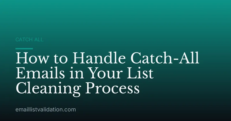 How to Handle Catch-All Emails in Your List Cleaning Process