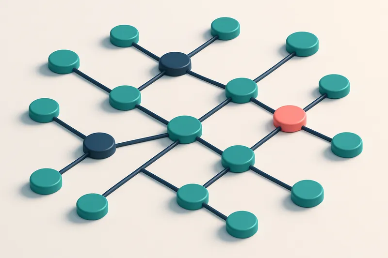 a network of small circular nodes connected by lines