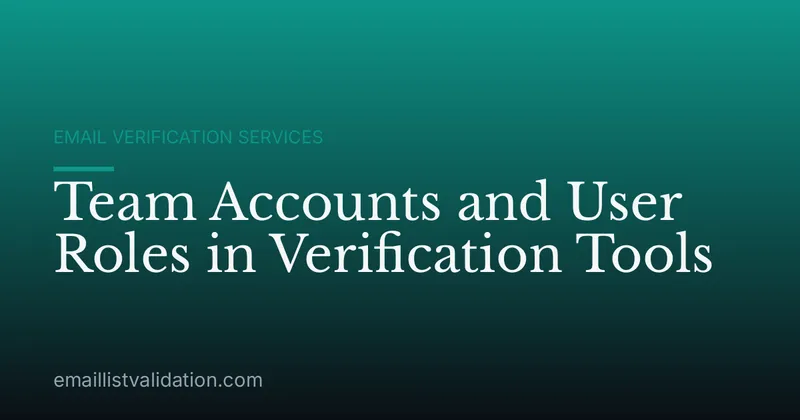 Team Accounts and User Roles in Verification Tools