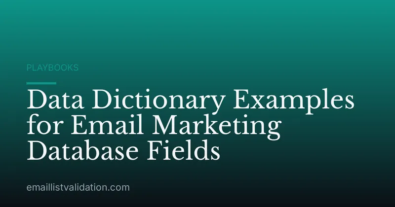 Data Dictionary Examples for Email Marketing Database Fields