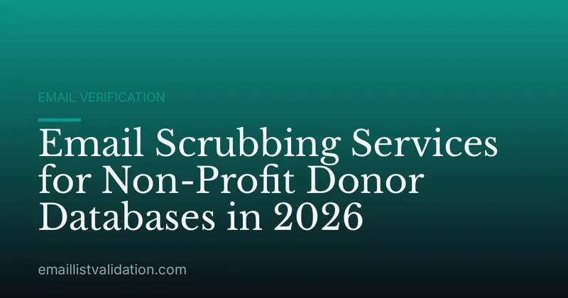 Email Scrubbing Services for Non-Profit Donor Databases in 2026