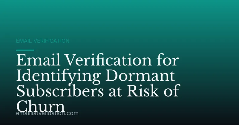 Email Verification for Identifying Dormant Subscribers at Risk of Churn