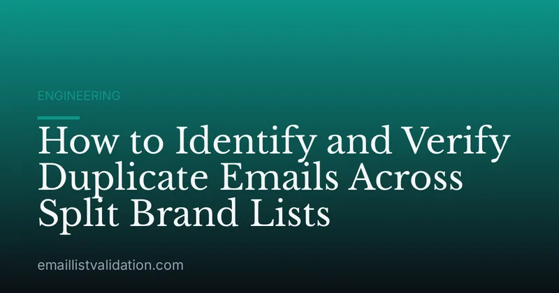 How to Identify and Verify Duplicate Emails Across Split Brand Lists