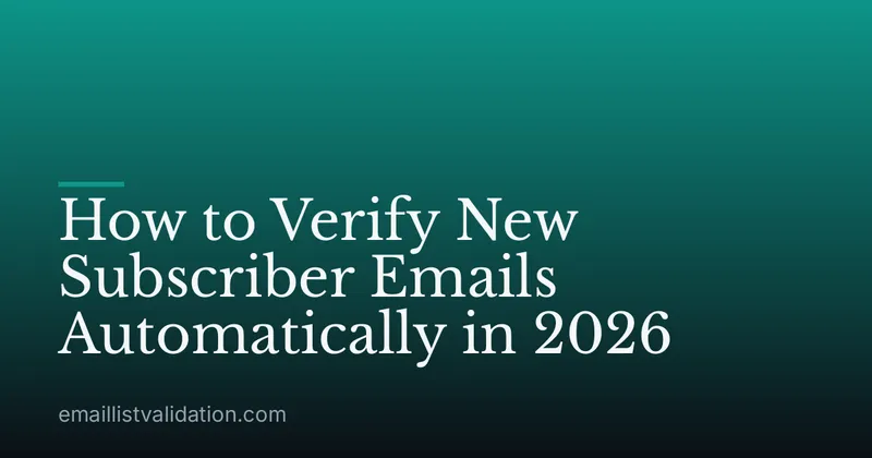 How to Verify New Subscriber Emails Automatically in 2026