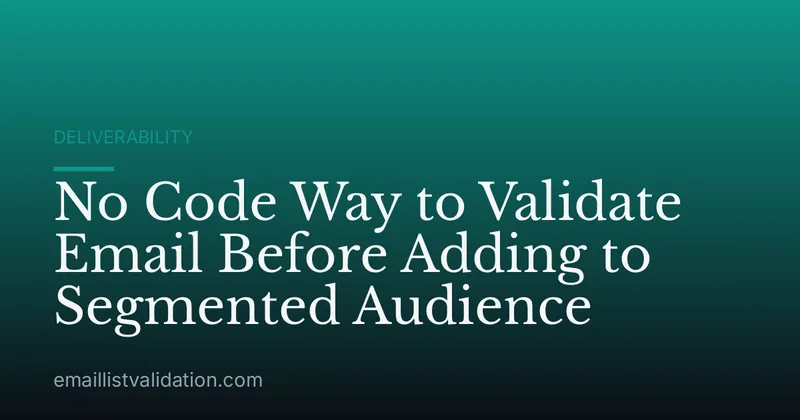 No Code Way to Validate Email Before Adding to Segmented Audience