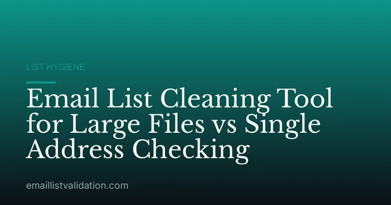 Email List Cleaning Tool for Large Files vs Single Address Checking