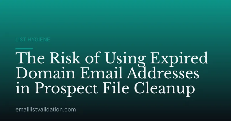 The Risk of Using Expired Domain Email Addresses in Prospect File Cleanup