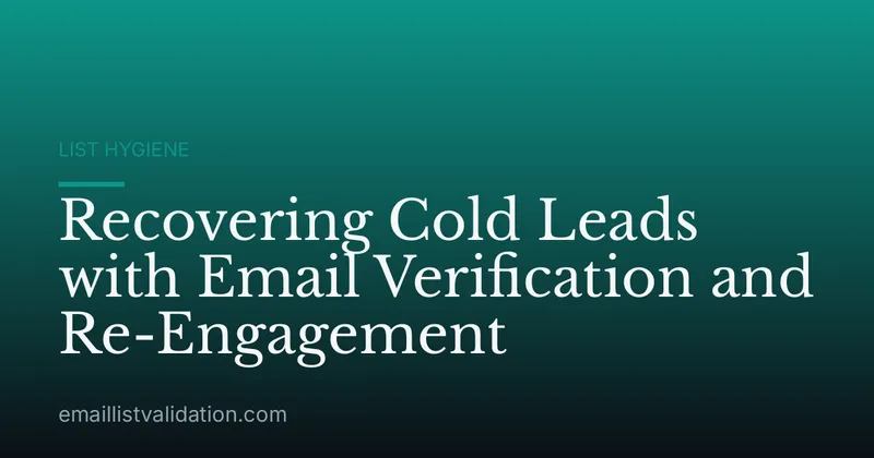 Recovering Cold Leads with Email Verification and Re-Engagement