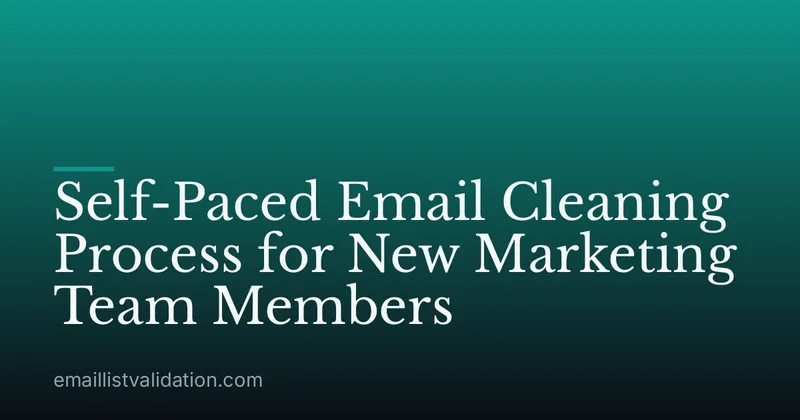 Self-Paced Email Cleaning Process for New Marketing Team Members