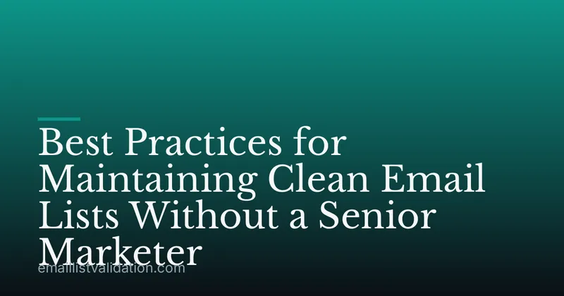 Best Practices for Maintaining Clean Email Lists Without a Senior Marketer