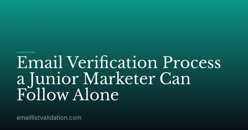 Email Verification Process a Junior Marketer Can Follow Alone