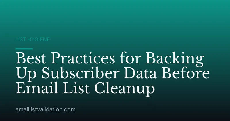 Best Practices for Backing Up Subscriber Data Before Email List Cleanup