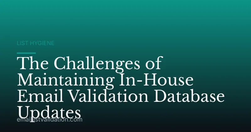 The Challenges of Maintaining In-House Email Validation Database Updates