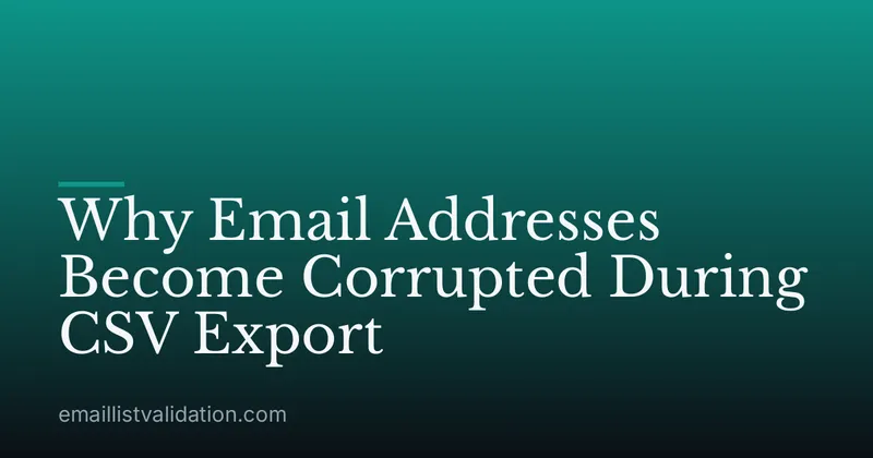 Why Email Addresses Become Corrupted During CSV Export