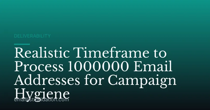 Realistic Timeframe to Process 1000000 Email Addresses for Campaign Hygiene