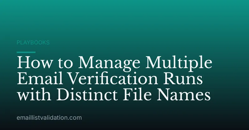How to Manage Multiple Email Verification Runs with Distinct File Names