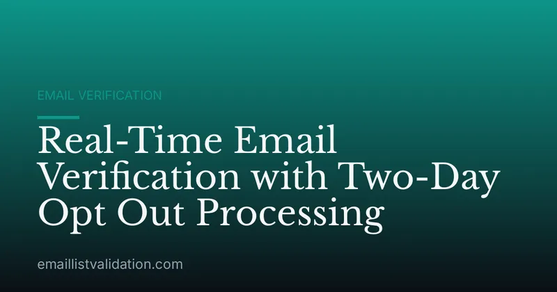 Real-Time Email Verification with Two-Day Opt Out Processing
