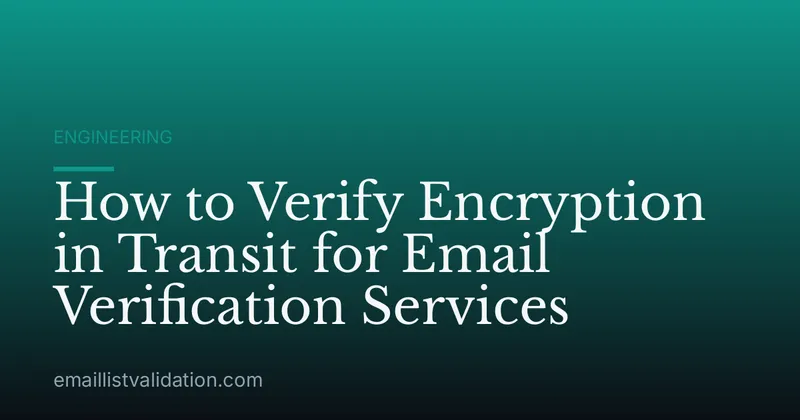 How to Verify Encryption in Transit for Email Verification Services