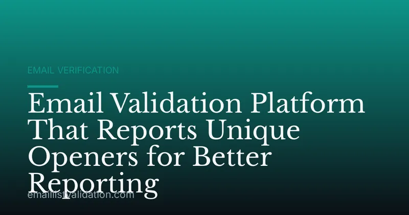 Email Validation Platform That Reports Unique Openers for Better Reporting