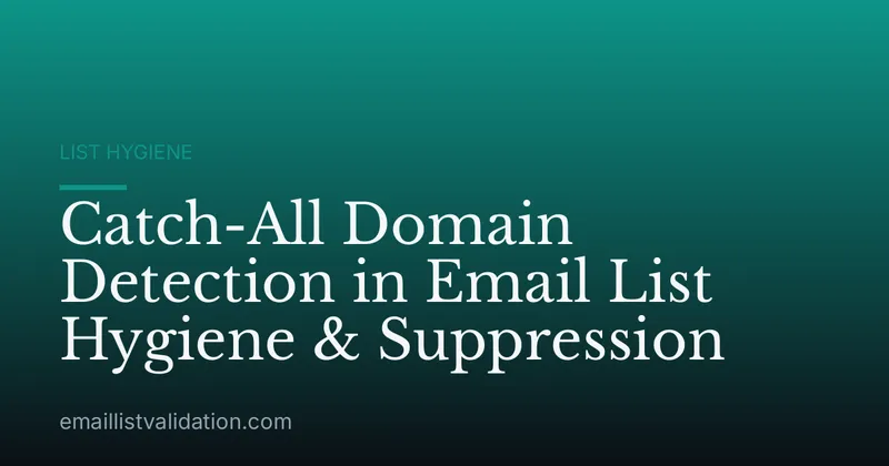 Catch-All Domain Detection in Email List Hygiene & Suppression