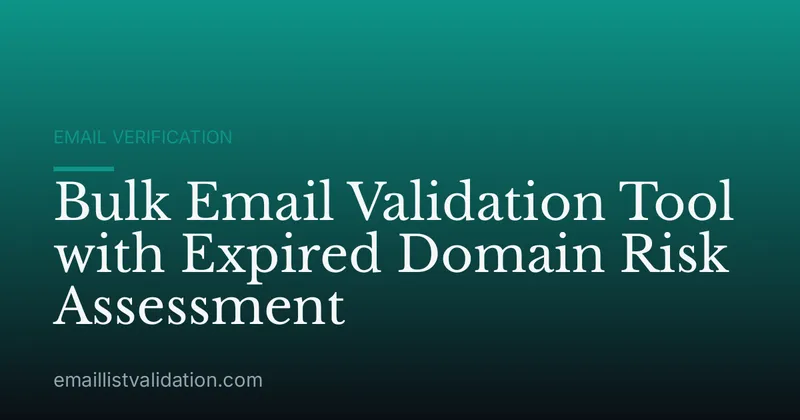 Bulk Email Validation Tool with Expired Domain Risk Assessment