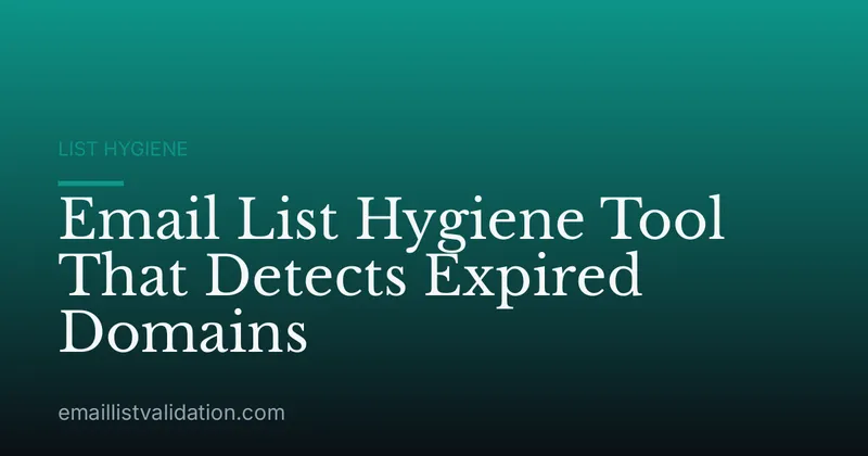 Email List Hygiene Tool That Detects Expired Domains