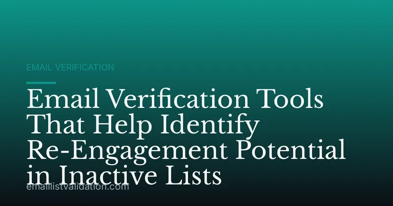 Email Verification Tools That Help Identify Re-Engagement Potential in Inactive Lists