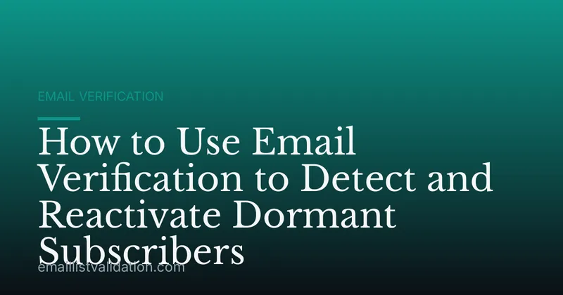 How to Use Email Verification to Detect and Reactivate Dormant Subscribers