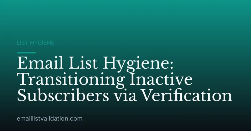 Email List Hygiene: Transitioning Inactive Subscribers via Verification