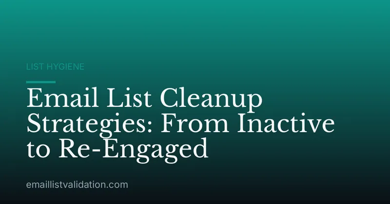 Email List Cleanup Strategies: From Inactive to Re-Engaged