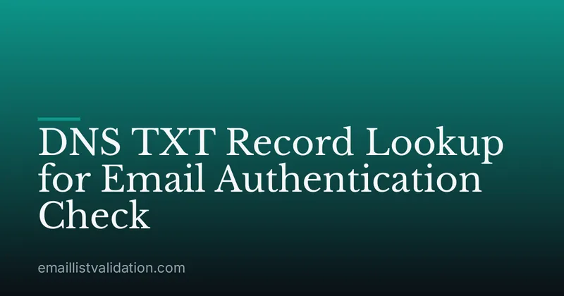 DNS TXT Record Lookup for Email Authentication Check