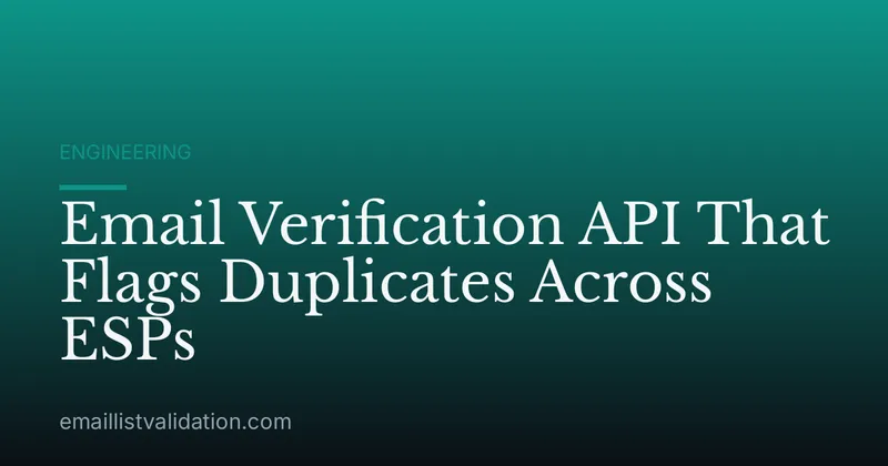 Email Verification API That Flags Duplicates Across ESPs