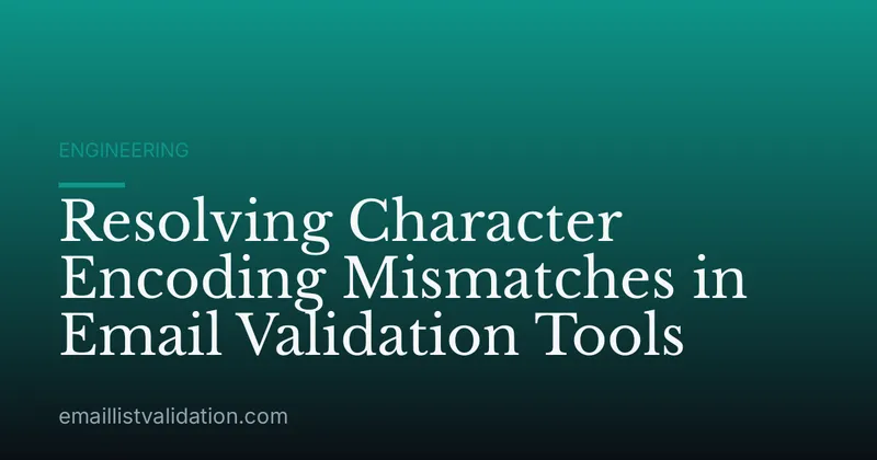 Resolving Character Encoding Mismatches in Email Validation Tools