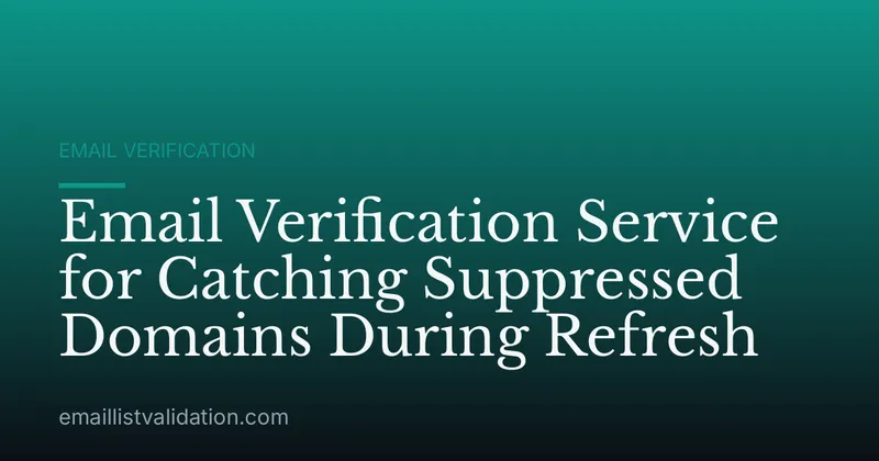 Email Verification Service for Catching Suppressed Domains During Refresh