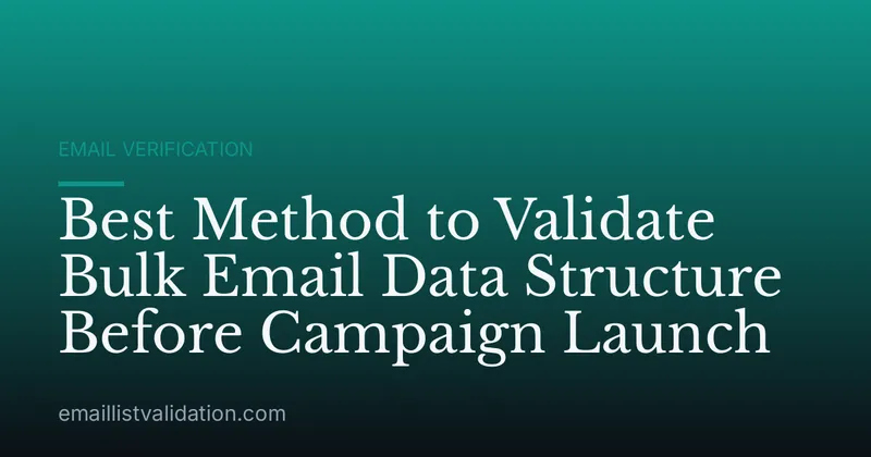 Best Method to Validate Bulk Email Data Structure Before Campaign Launch